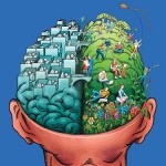 ff_70_brain1_f