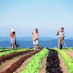 agricultura