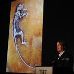 US-SCIENCE-FOSSIL-PRIMATE