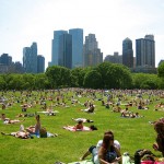 parc_iarba