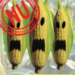 Alimente_modificate