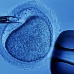 fertilizare_vitro