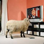television_sheep