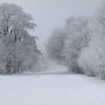 winter_freeze