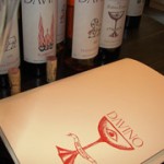 11-degustare-vinuri-davino-t