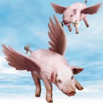 porci_porcina