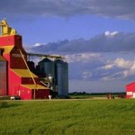 modern_farm