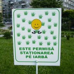 Calcati_Iarba