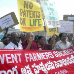 india_monsanto