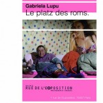 In-Piata-Romilor-Expozitie-Icr-Paris