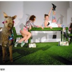 Poneiul-ICR-Paris-Canin-Felin