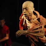 human_body2