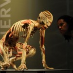 human_body3