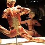 A model mimics a preserved human body on display at an exhibition in Budapest's Vam Design Center