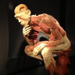 human_body8
