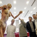 human_body91