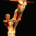 human_body93