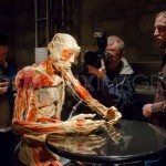 human_body94
