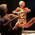 human_body95