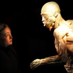 human_body97