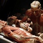 human_body99