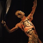 human_body994