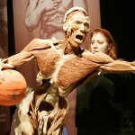 human_body998