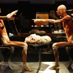 human_body999