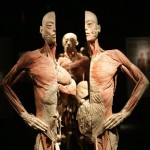 human_body_1