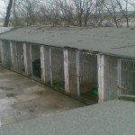eforie_sud_adapost