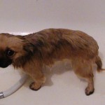 pufi5