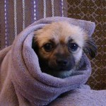 pufi9