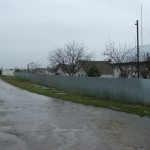 DSCF1373