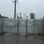 DSCF1374