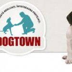 dogtown