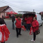 ulei3