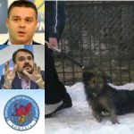criminali_ciucu_ghinea